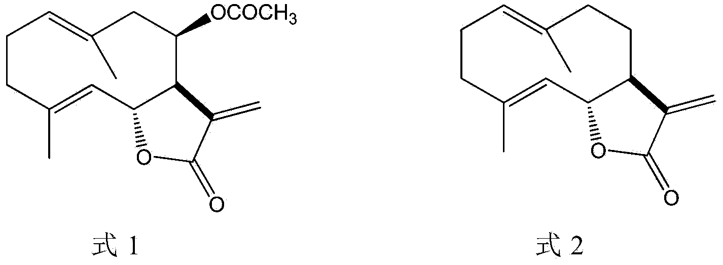 Pharmaceutical composition containing as active ingredient extract from bark of liriodendron tulipifera