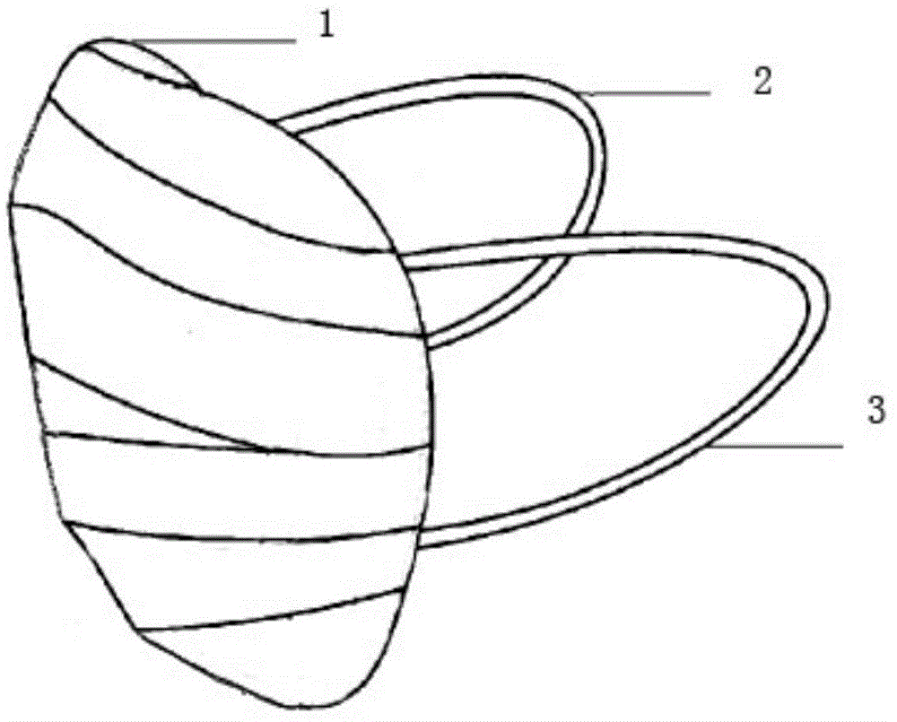 Mask used for bacteria suppression and dust prevention