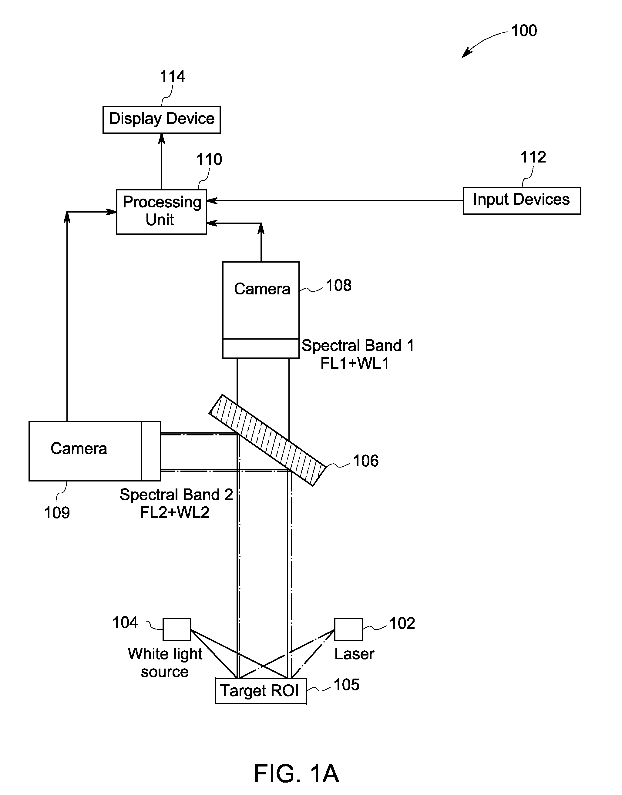 Systems and methods for nerve imaging