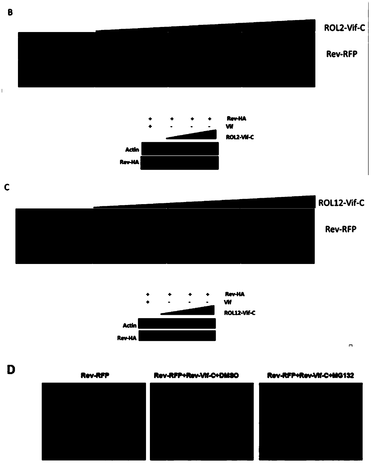 Anti-HIV-1 drugs and preparation and application thereof