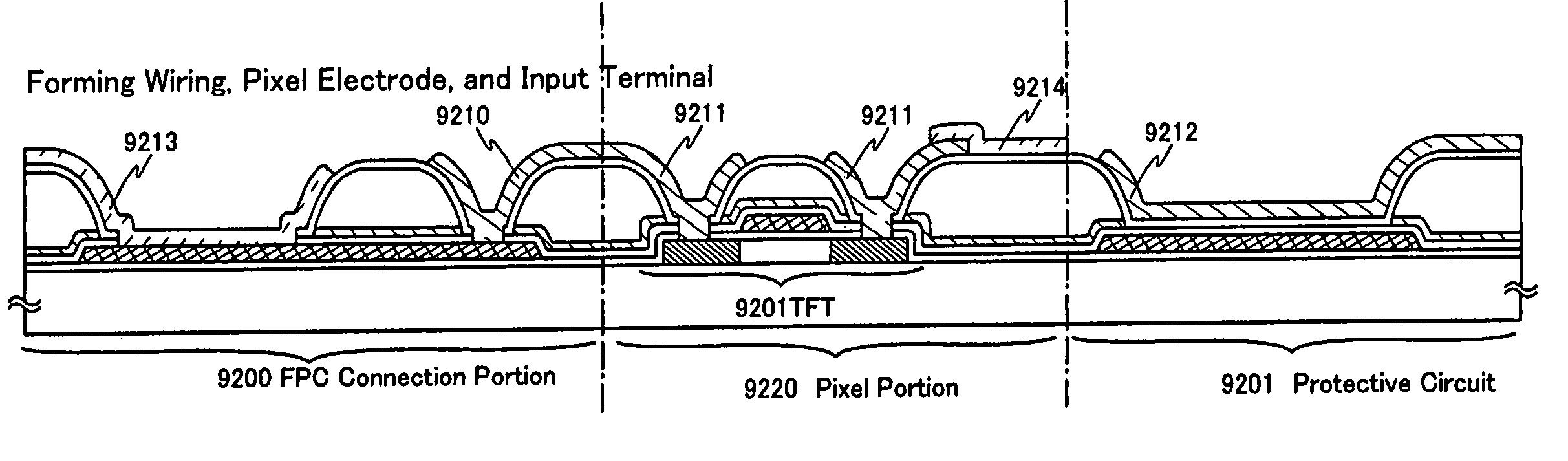 Electronic apparatus having a protective circuit