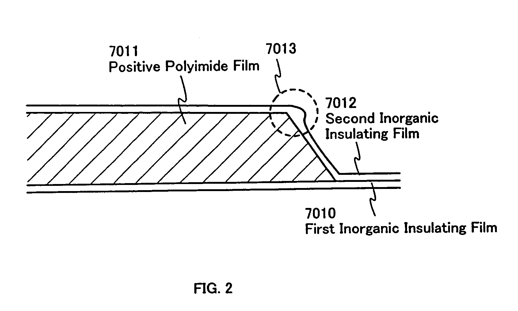 Electronic apparatus having a protective circuit