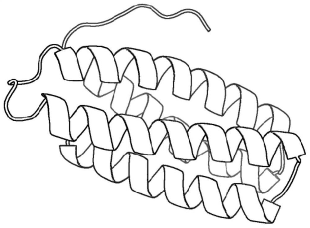 Protein conformation sampling method based on niche local enhancement