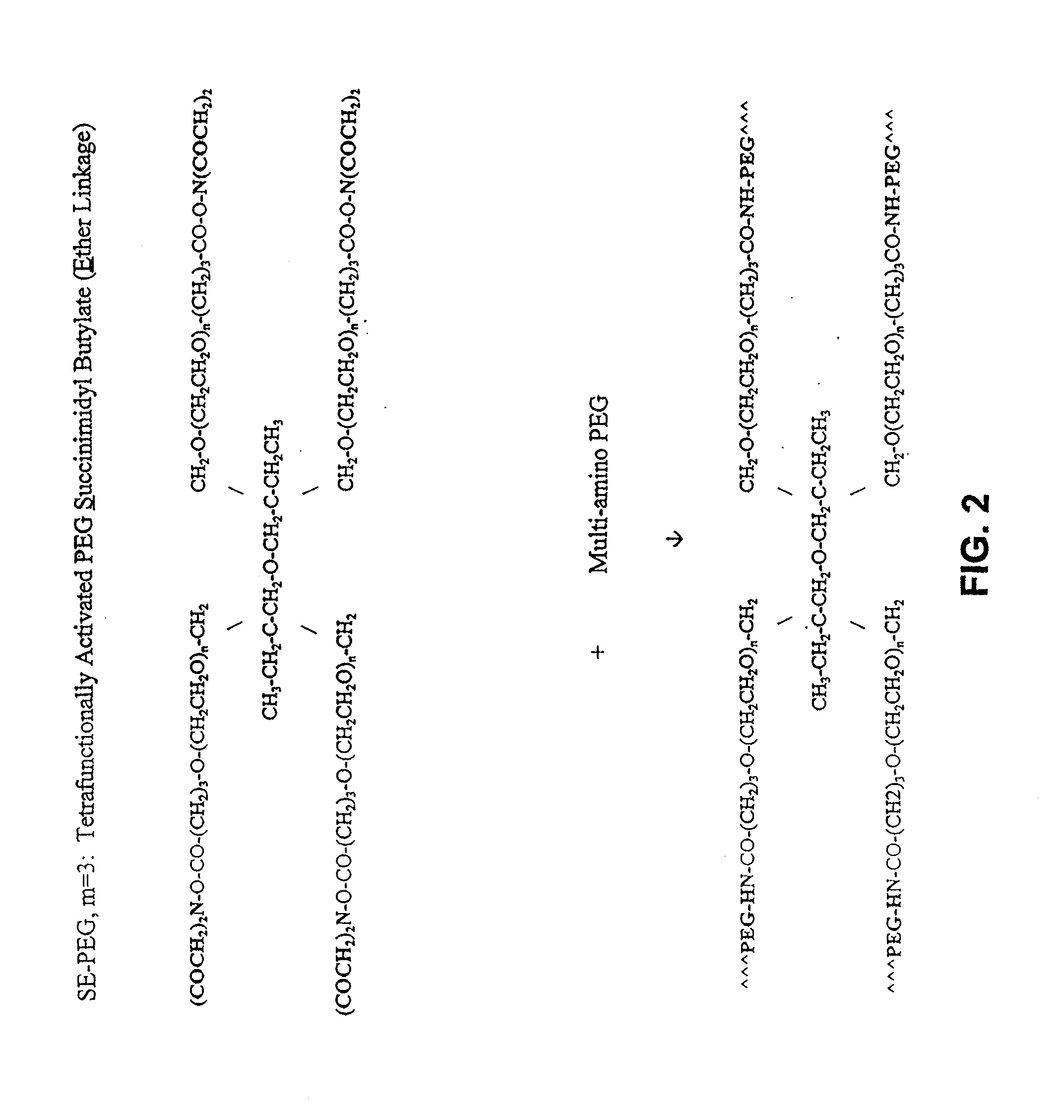 Adhesive tissue repair patch and collagen sheets