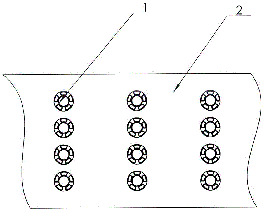 Matrix chest electrocardio electrode fixing device