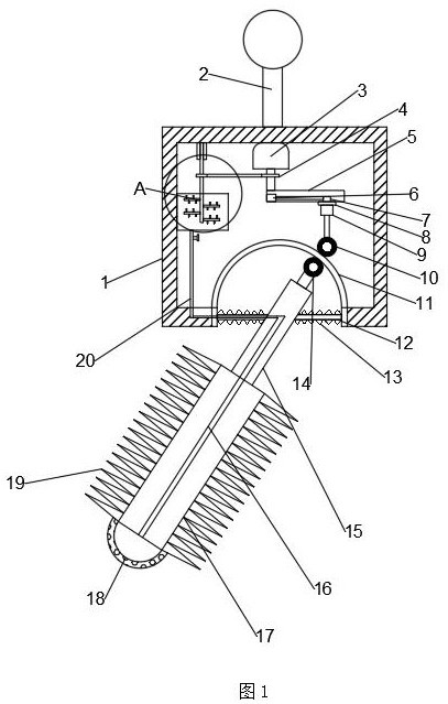 Oral cleaning device for oral examination