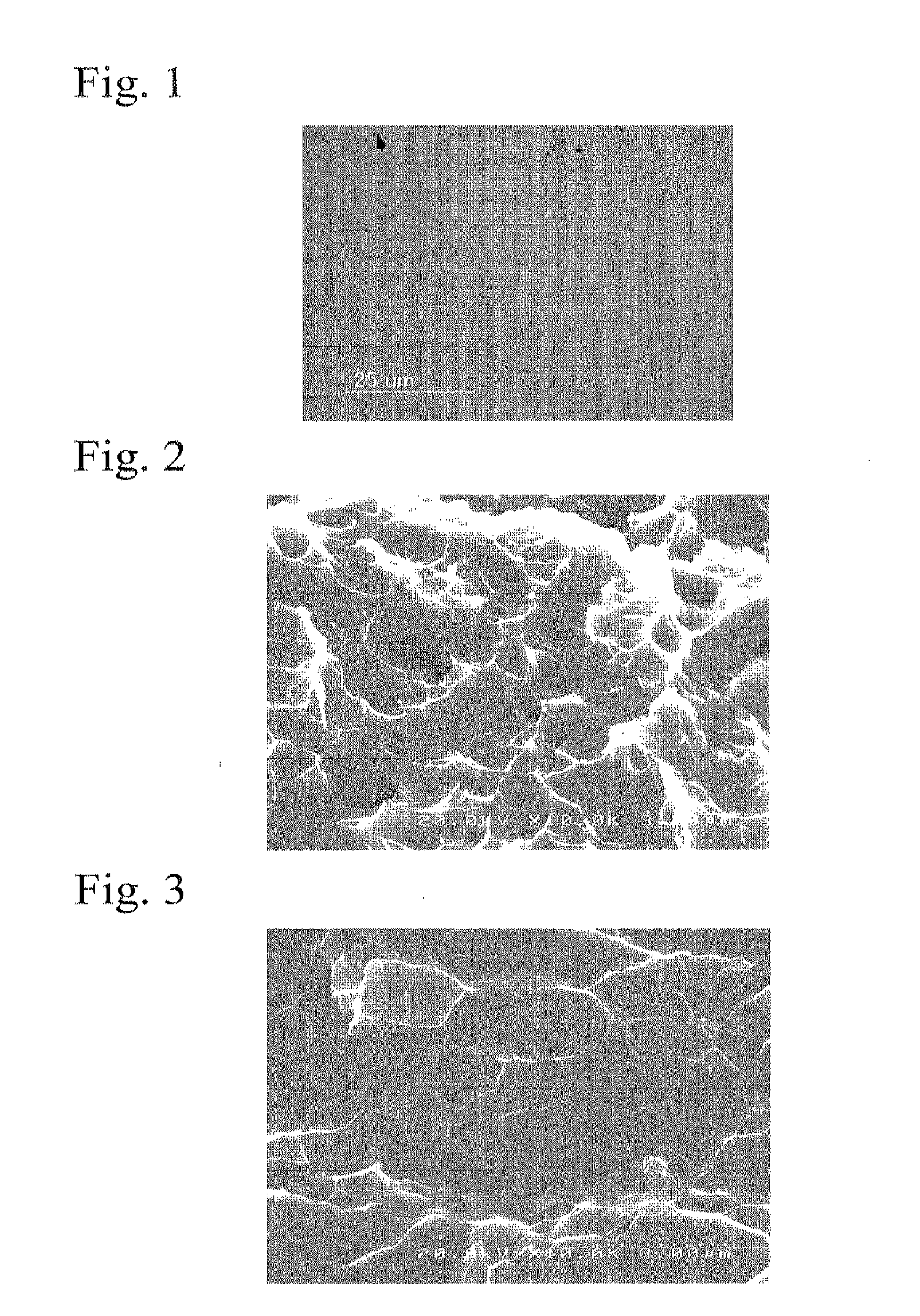 Nanocrystal titanium alloy and production method for same