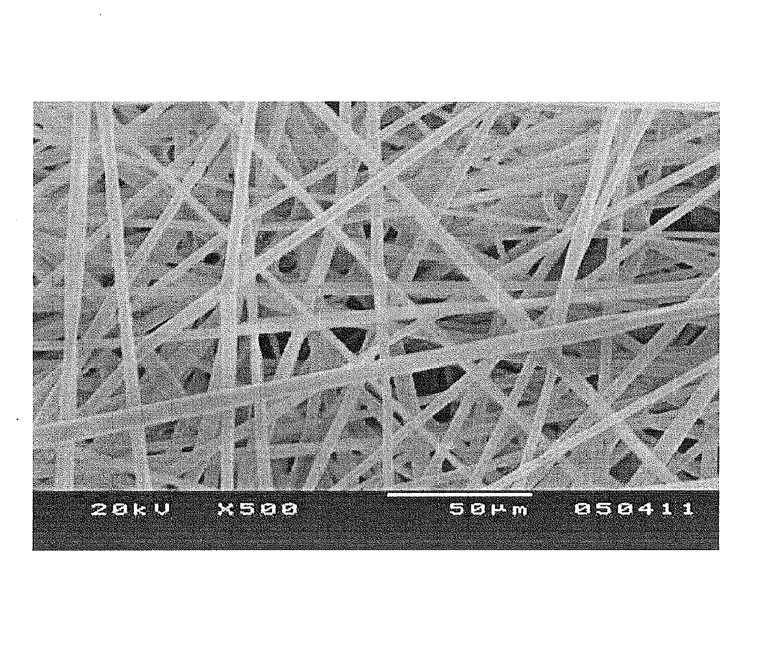 Fibrous 3-Dimensional Scaffold Via Electrospinning For Tissue Regeneration and Method For Preparing the Same