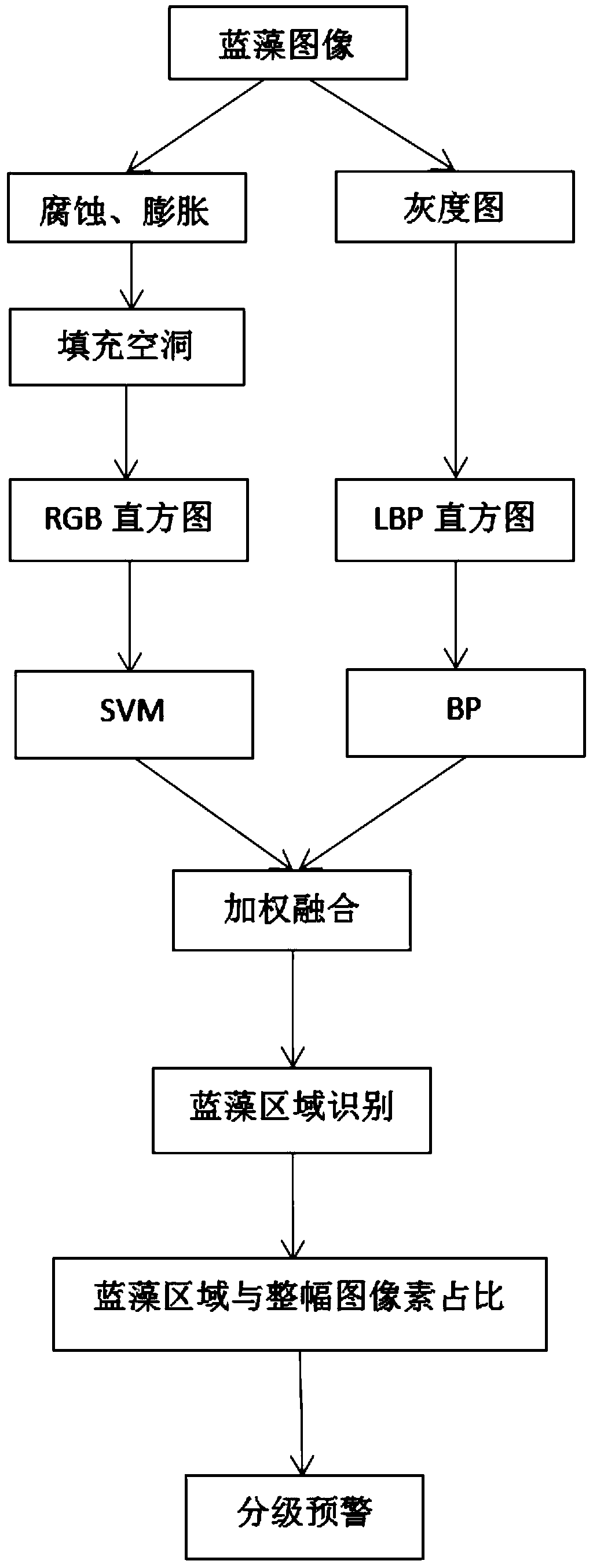 Automatic blue algae monitoring and early warning method and automatic blue algae monitoring and early warning system