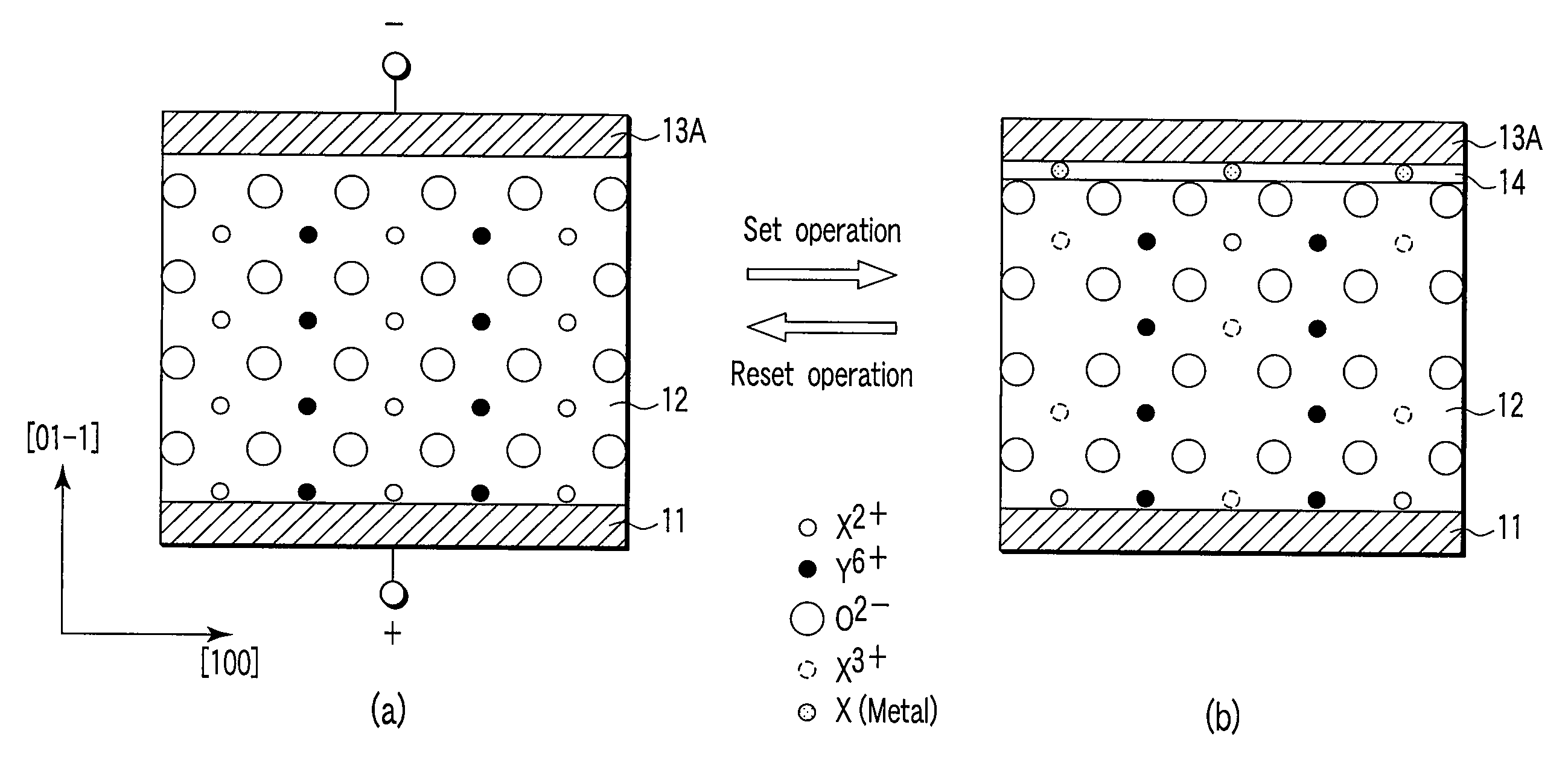 Information recording/reproducing device