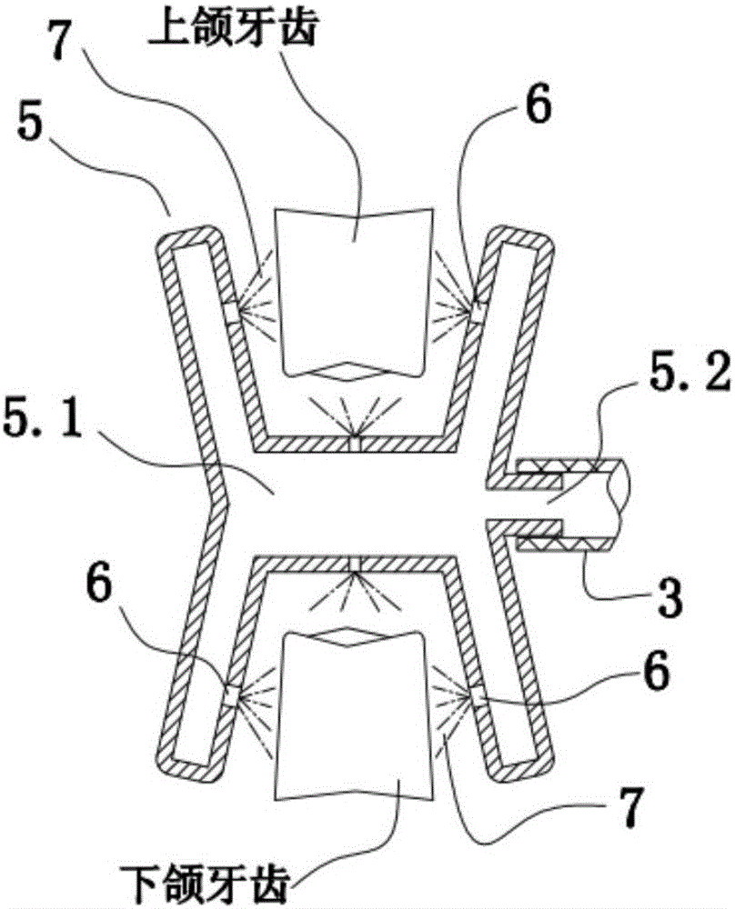 Tooth washing device