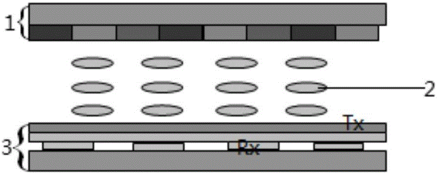 Embedded touch screen and liquid crystal display apparatus