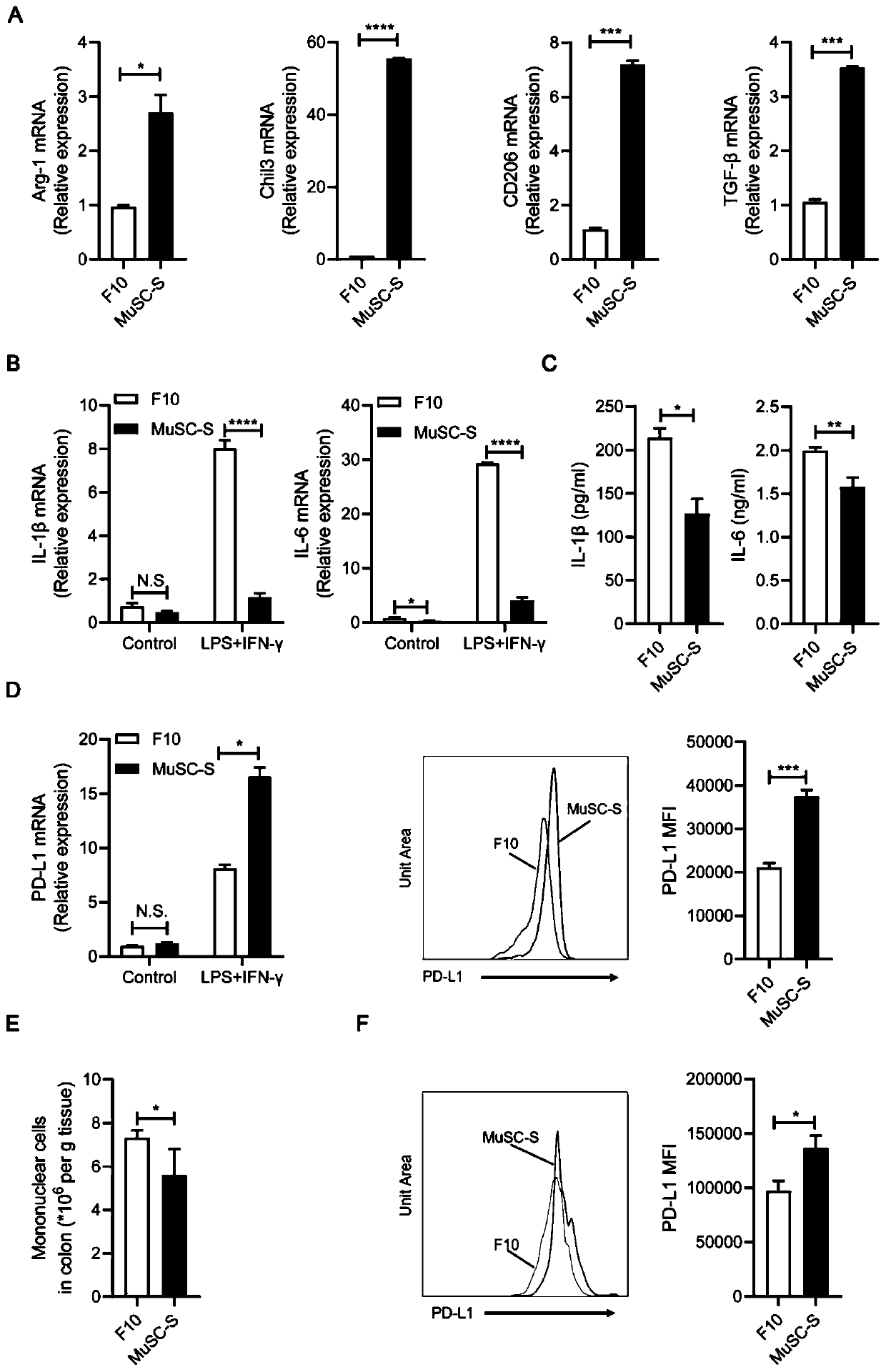 Application of muscle stem cells in preparation of anti-inflammatory drugs