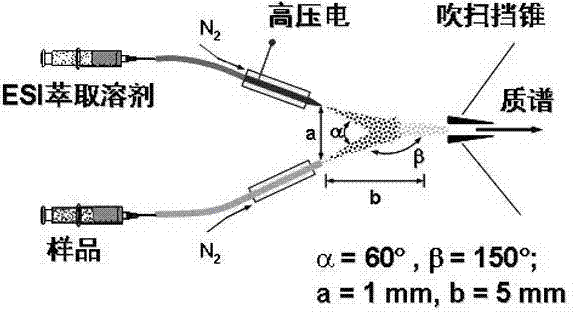 Electrospray extraction ionization-mass spectrum (EESI-MS) rapid detection method for alkaloid in lotus seeds