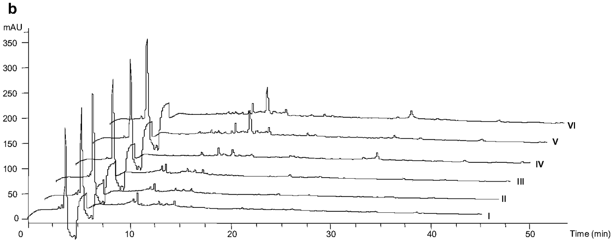 PKS type-I polyketones compound with immunosuppression activity and preparation method and application of PKS type-I polyketones compound