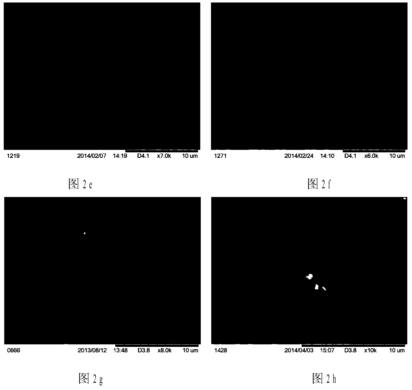 Seeding method for synthesizing chabasite type molecular sieve with high silica/alumina ratio and application of the molecular sieve