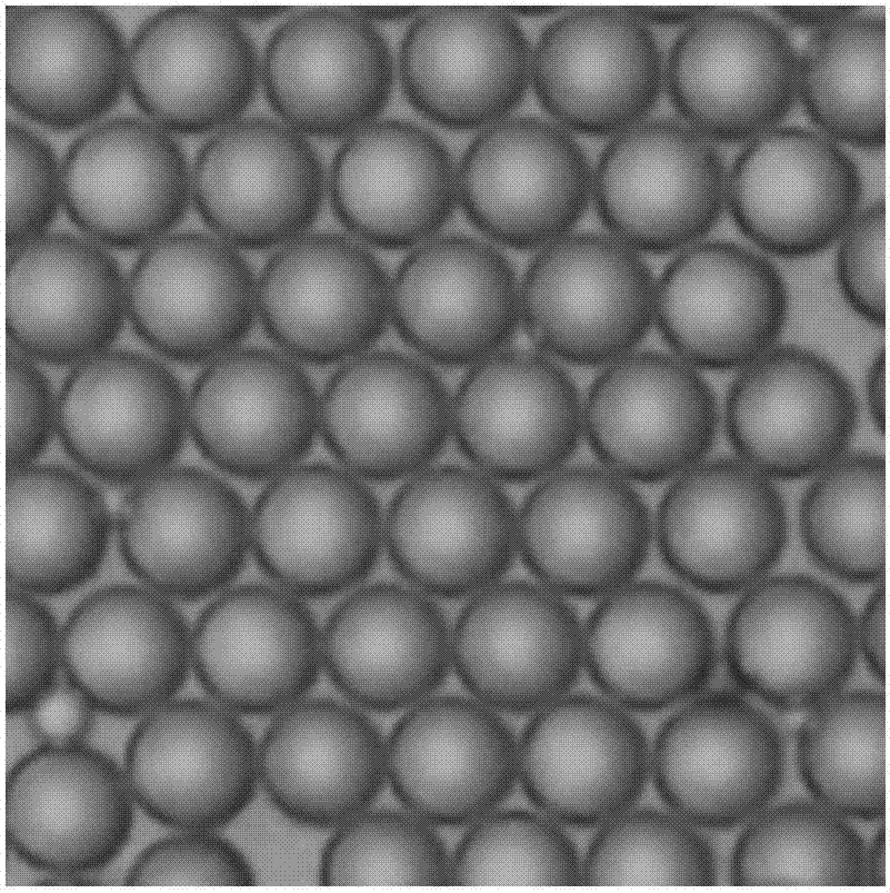 Micro-droplets for cell-free protein synthesis and preparation method thereof