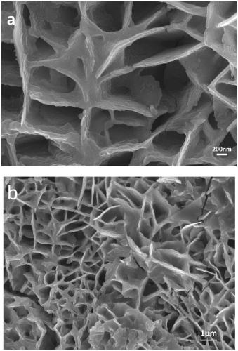 Foam nickel@cobalt molybdenum phosphide/nickel iron double hydroxide electrode, preparation method and application thereof