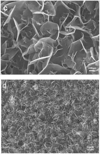 Foam nickel@cobalt molybdenum phosphide/nickel iron double hydroxide electrode, preparation method and application thereof