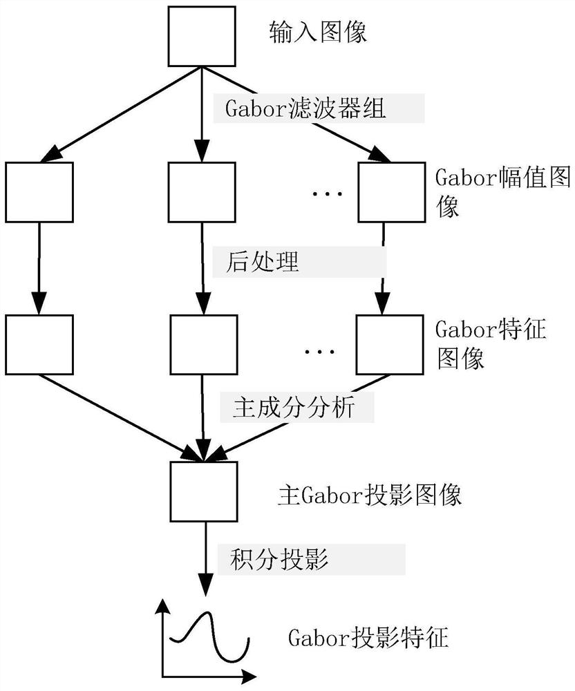 A smoky car detection method based on gabor projection