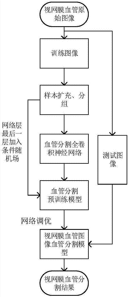 Retinal blood vessel segmentation method based on deep-learning adaptive weight