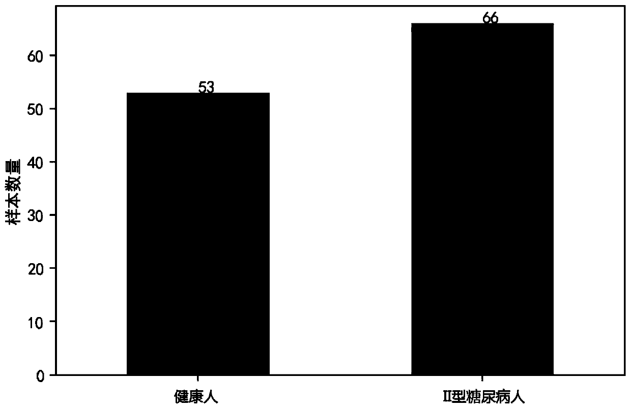 Microbial marker of type II diabetes mellitus and application of microbial marker