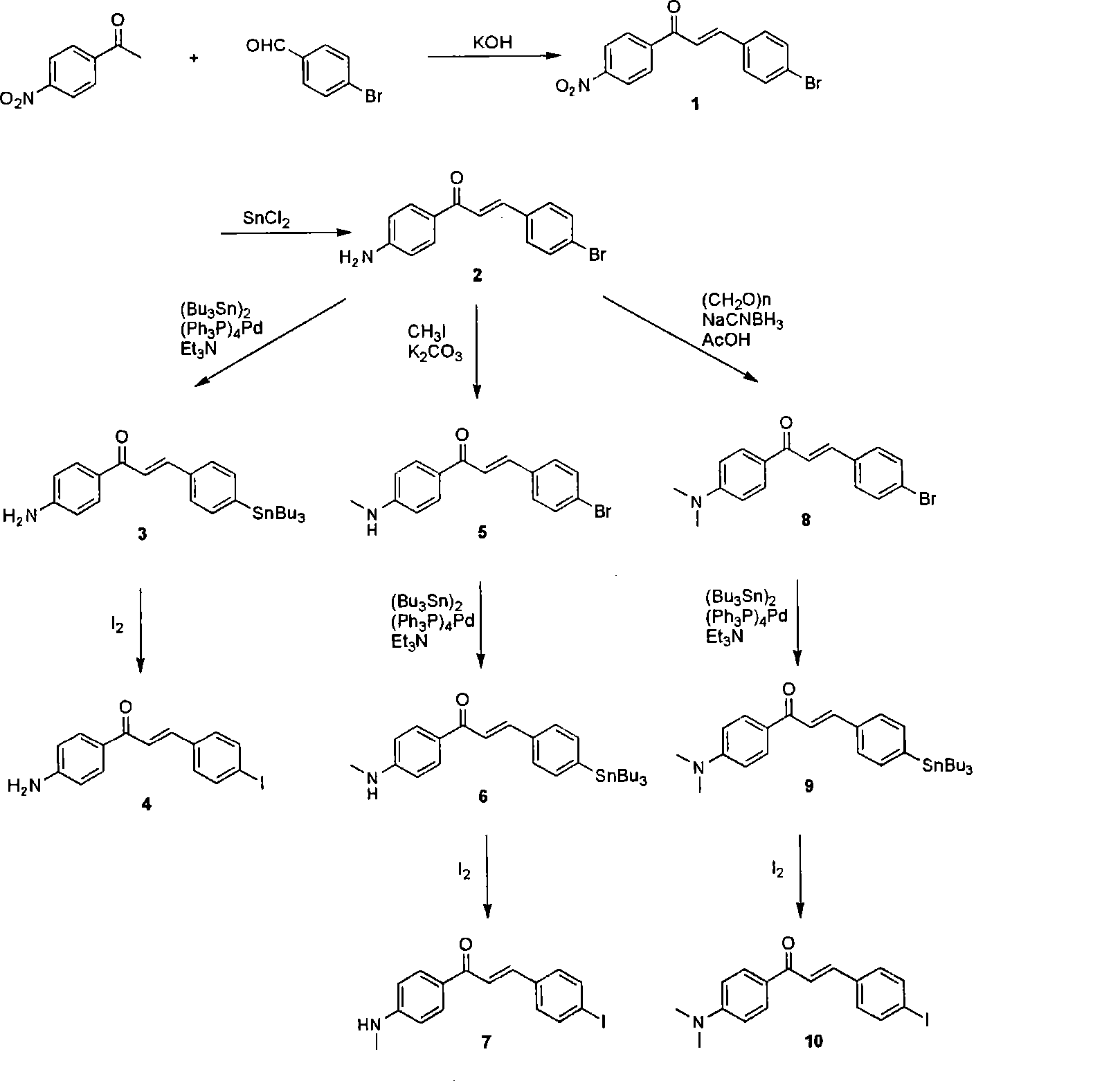 Composition for diagnosing amyloid-related disease