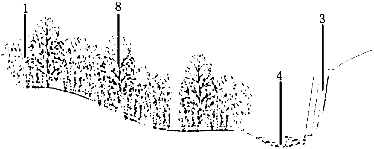 Construction method of health preservation system for phyllostachys pubescens forest