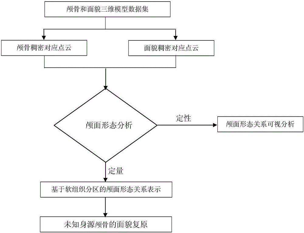 Craniofacial morphological analysis and facial restoration method based on craniofacial denseness corresponding point clouds