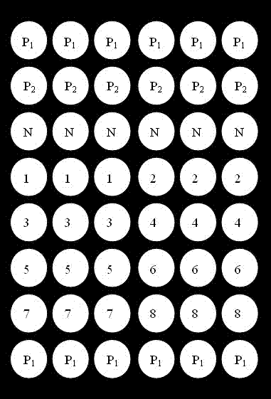 Gene chip for identifying capripoxvirus virus and detection method of same