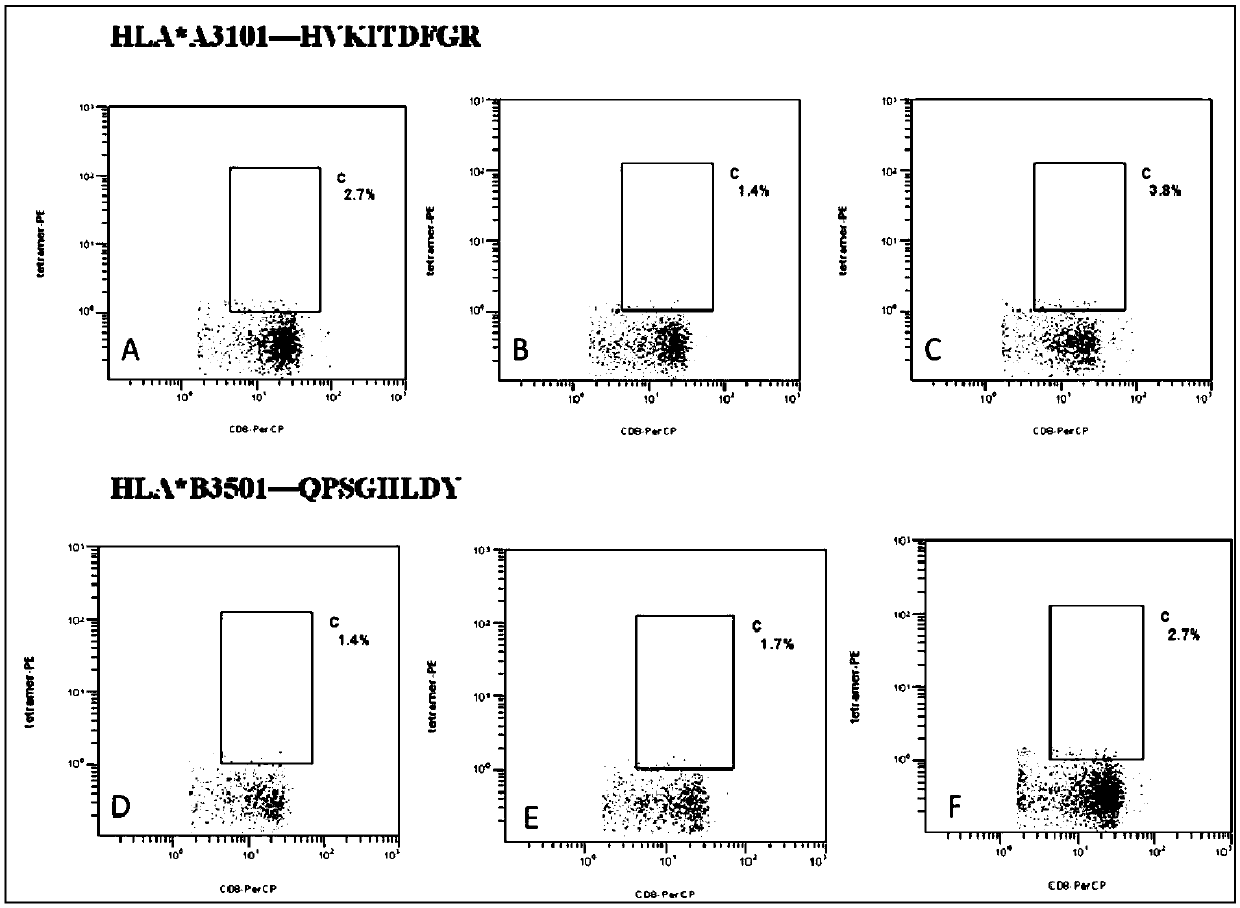 Antigen peptide chain group for treating tumors and application thereof in medicines