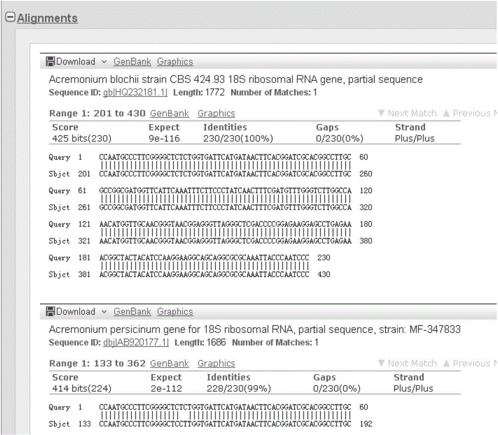 Primer pair and reagent box for identifying acremonium terricola mutagenic strain MKL18