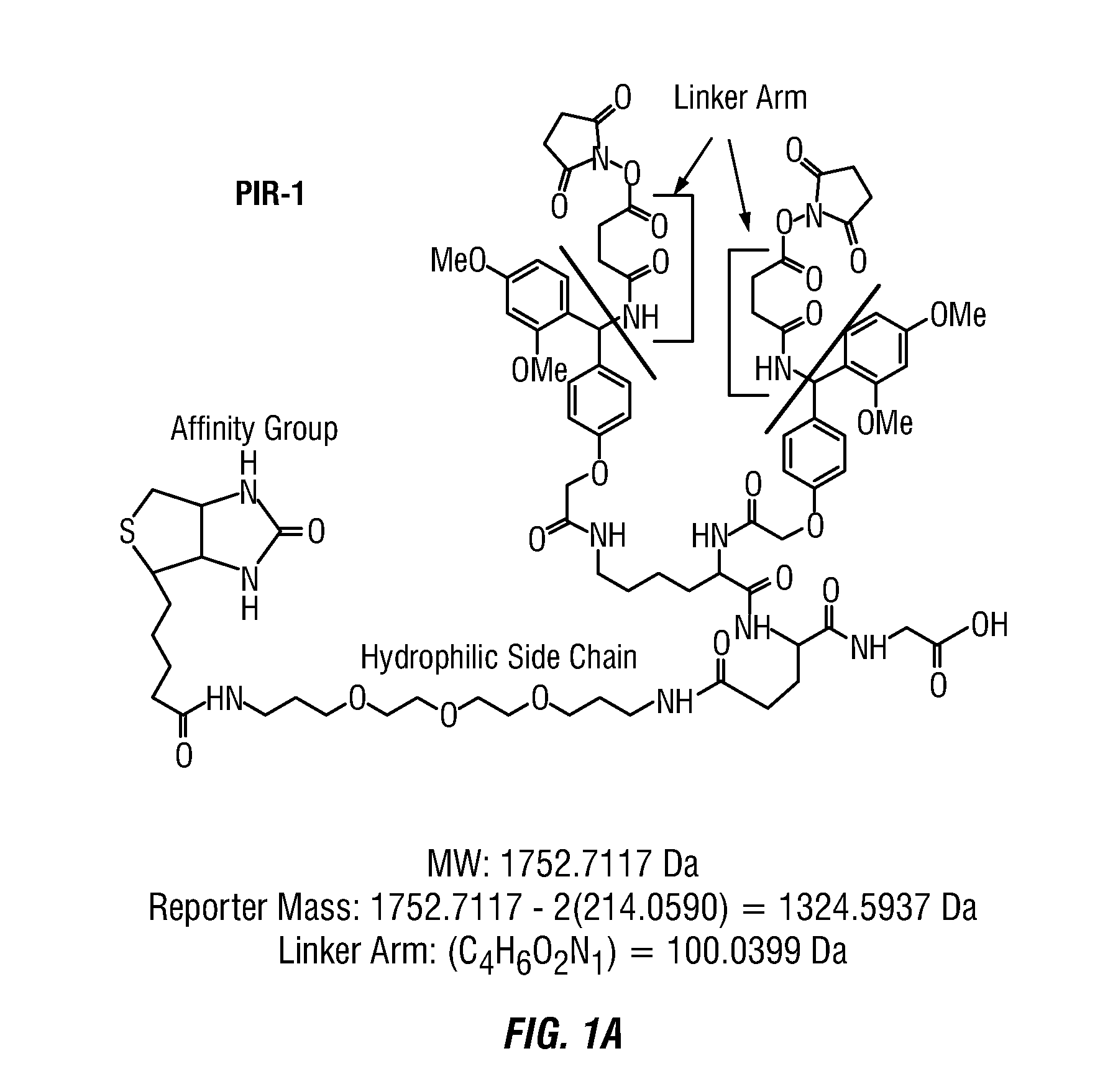 Method to determine protein interaction sites