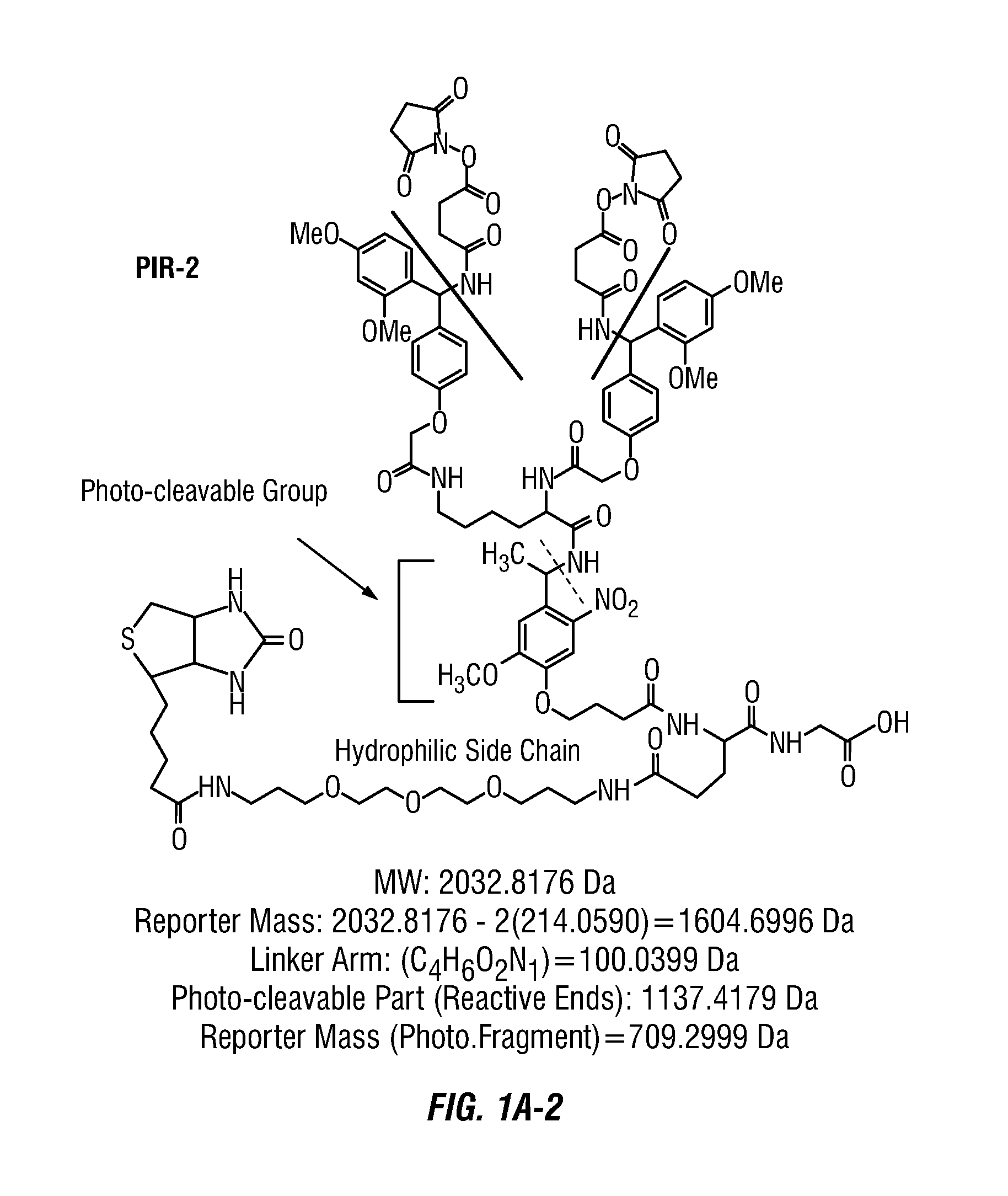 Method to determine protein interaction sites