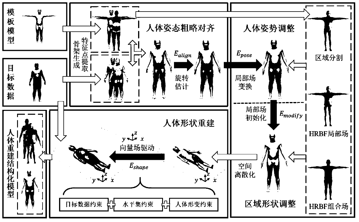 Human body geometric reconstruction method based on Euler field deformation constraint