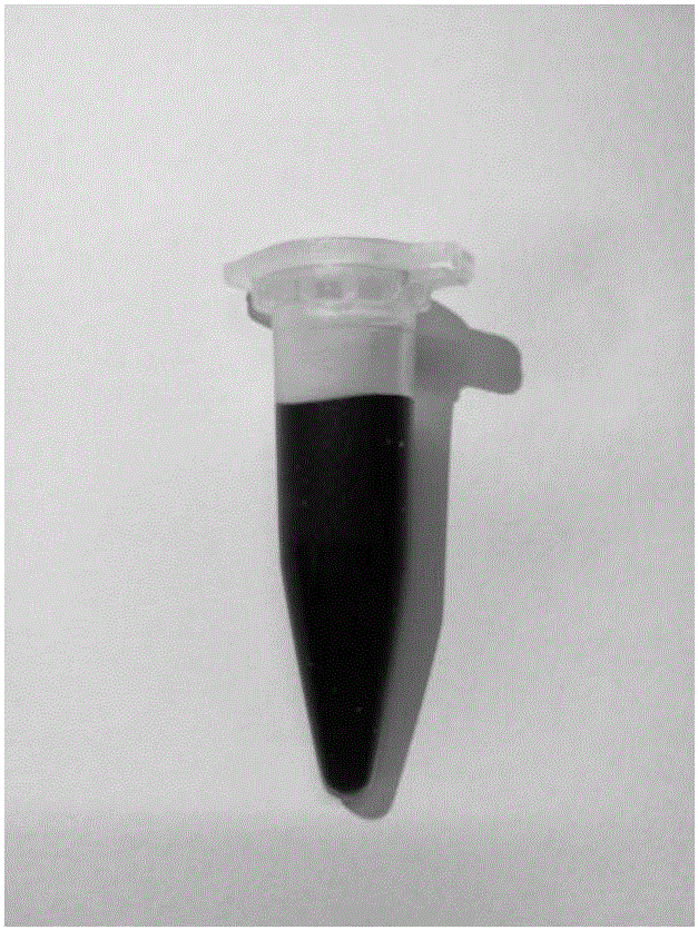 Photosensitizer formula for photodynamically treating periodontitis, as well as preparation method and application thereof