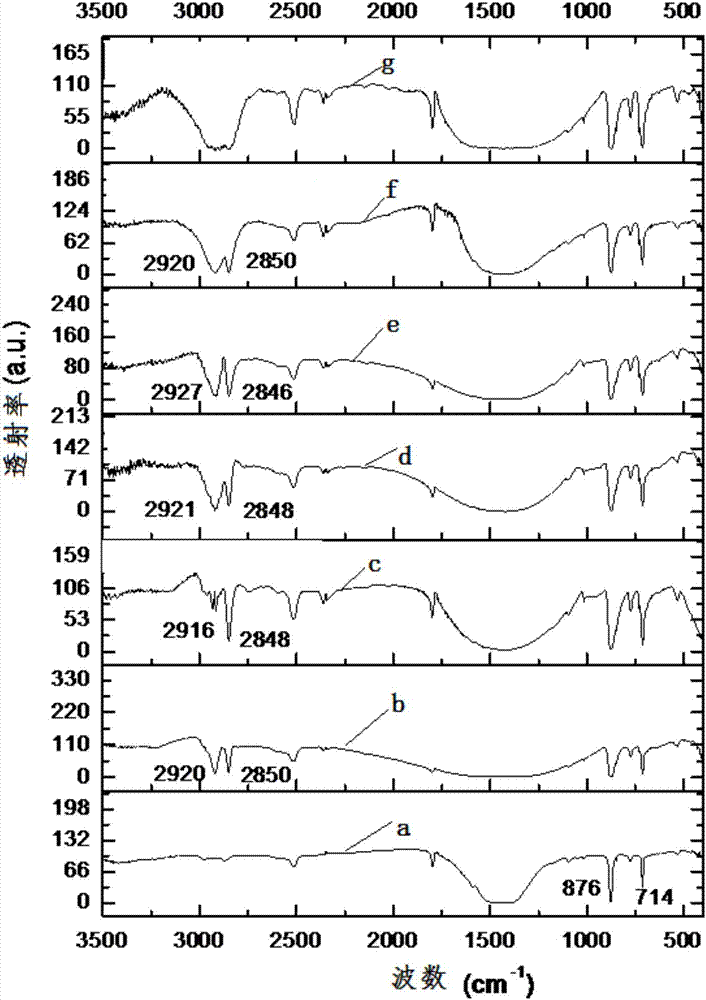 Polyolefin/rare earth complex/carbonate composite fluorescent material and preparation method thereof