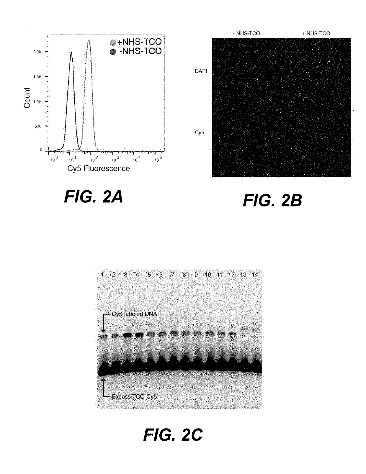 Sample multiplexing for single-cell RNA sequencing