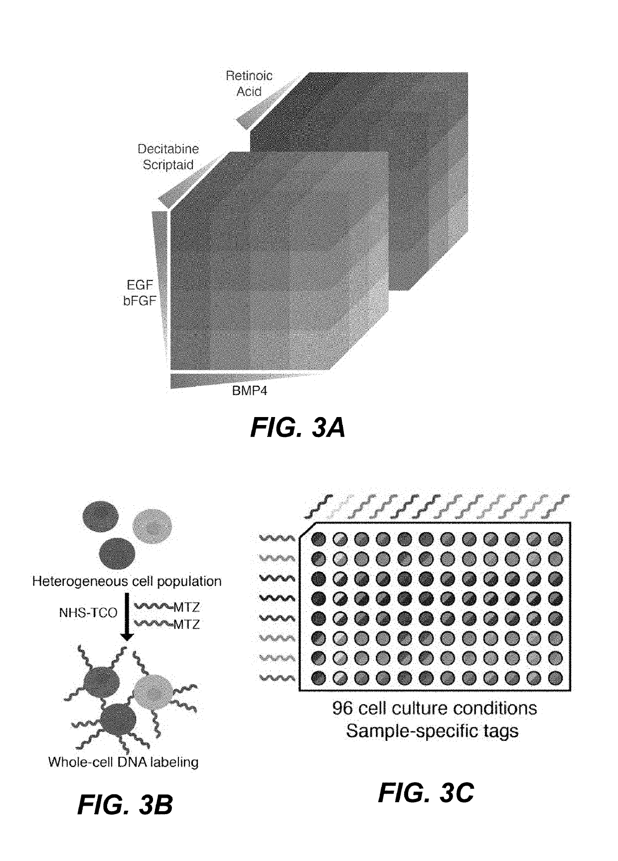 Sample multiplexing for single-cell RNA sequencing