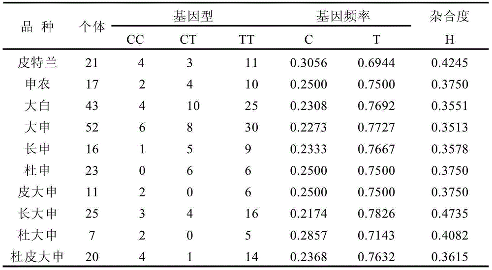 A Traceable SNP Molecular Marker of Pig Amy2 Gene and Its Detection Method