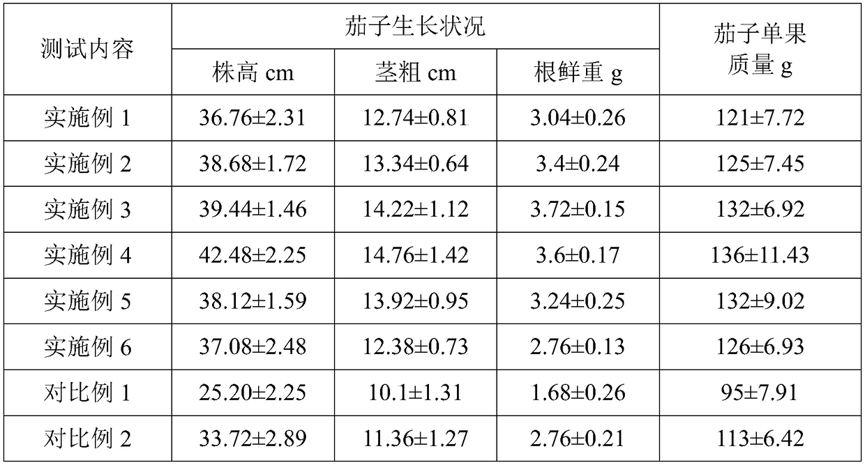 Biological bacterial fertilizer for preventing and treating eggplant root rot and preparation method thereof