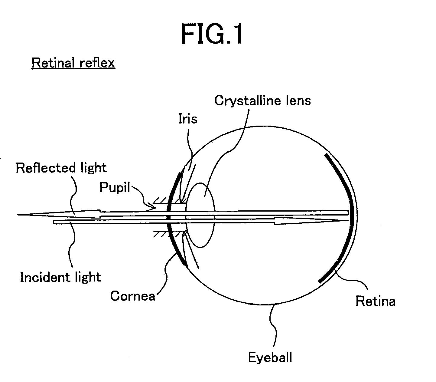 Living Eye Judging Method and Living Eye Judging Device