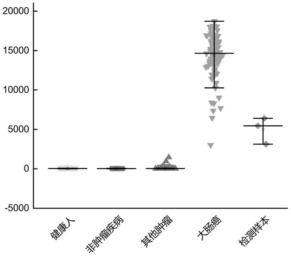 Peripheral blood TCR marker sequence of colorectal cancer as well as detection kit and application of peripheral blood TCR marker sequence