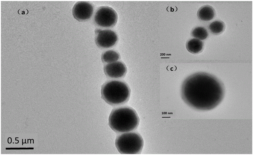 Method for preparing sulfydryl modified ferroferric oxide/silicon dioxide magnetic nanoparticles