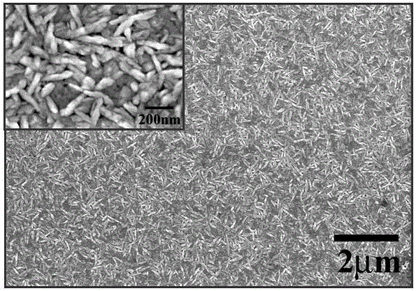 Thermal evaporation method for preparation of near-stoichiometric CdS film with quantum dot as precursor