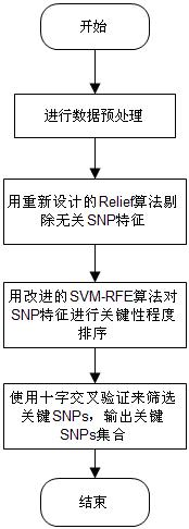 Feature selection method facing to SNP (Single Nucleotide Polymorphism) data