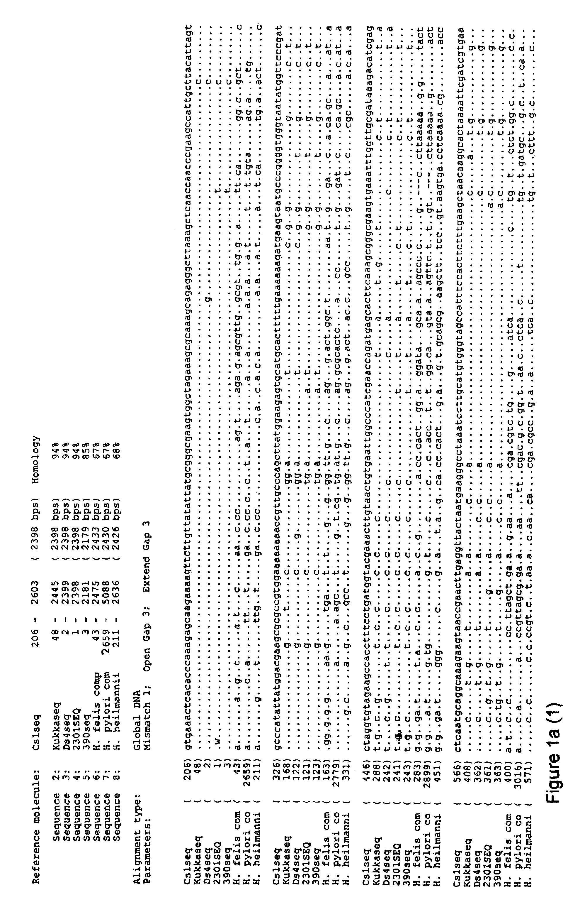 Helicobacter felis vaccine