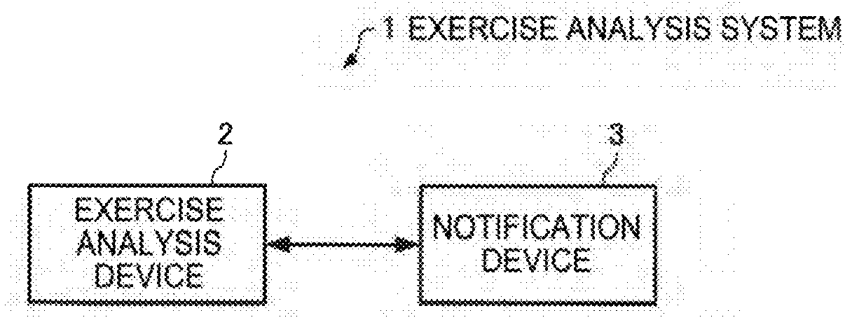 Notification device, exercise analysis system, notification method, notification program, exercise support method, and exercise support device