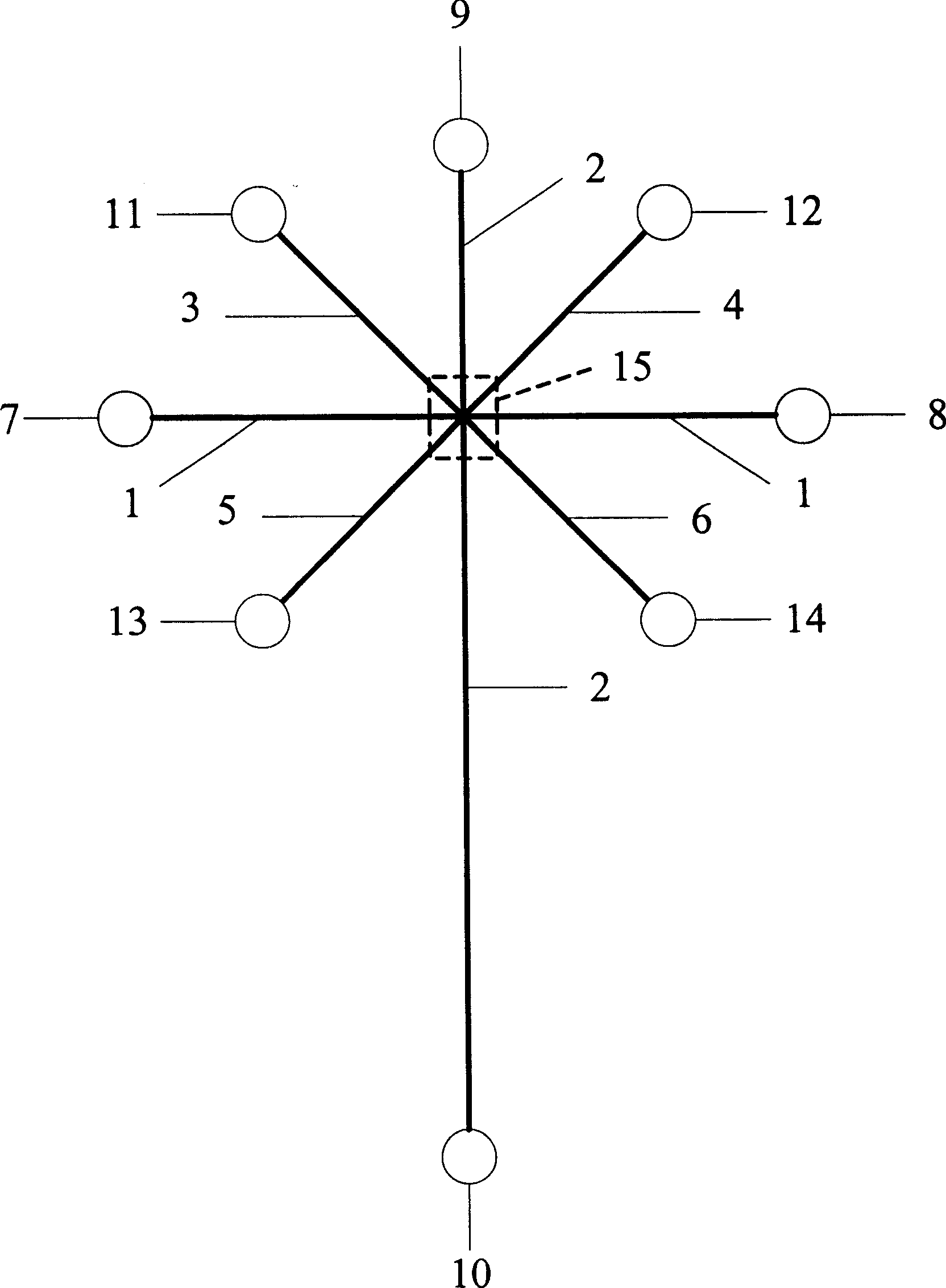 Capillary electrophoretic chip with extraining sampling and its using method