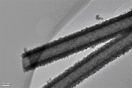 Method for growing porous tin dioxide nano-tubes on electric conduction substrate